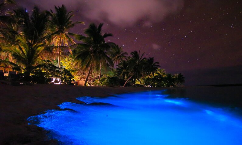 Malediven | © Getty Images/Joyce Stemmler