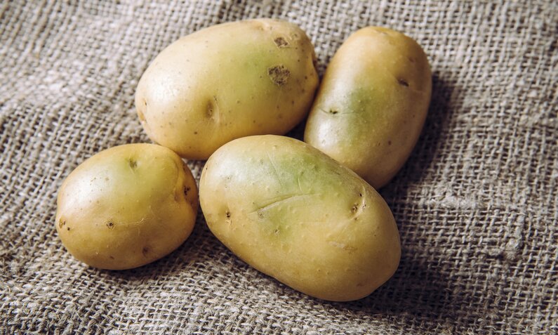 Grüne Kartoffeln | © Getty Images/Helin Loik-Tomson