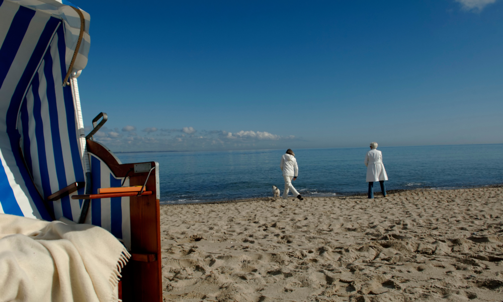 Hund Timmendorfer Strand | © Adobe Stock/Gudrun