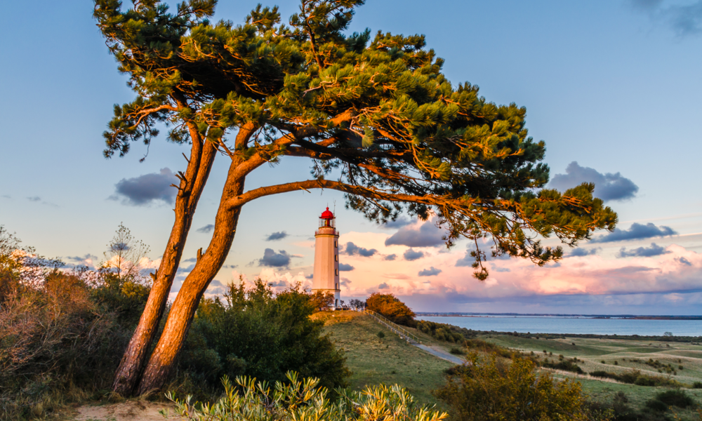 Hiddensee_Leuchtturm | © Adobe Stock/riebevonsehl