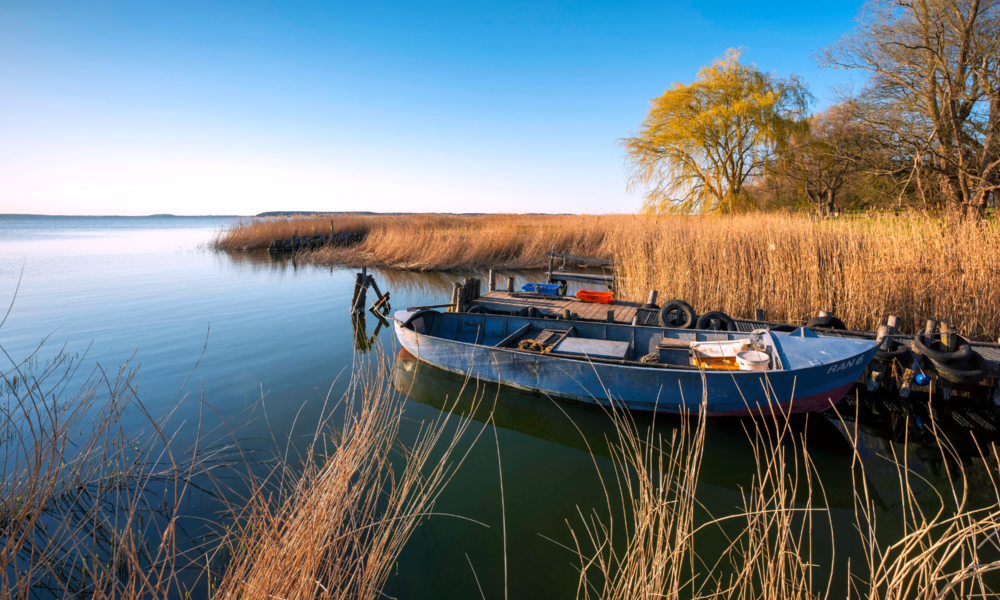Lieper Winkel | © IMAGO/AndreasxVitting