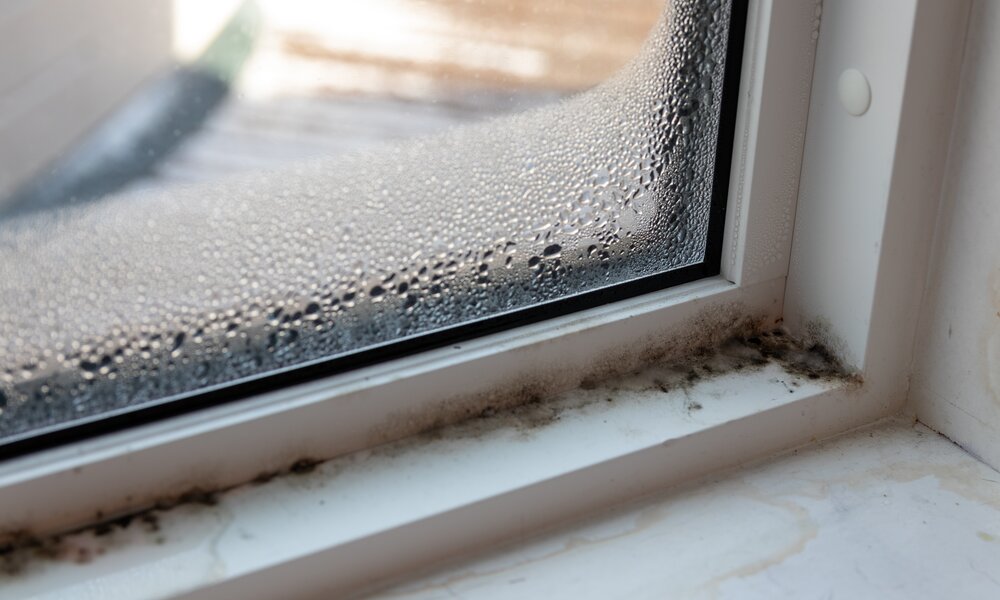 Schimmel im Fensterrahmen eines feuchten Fensters | © Adobe Stock/ IHX