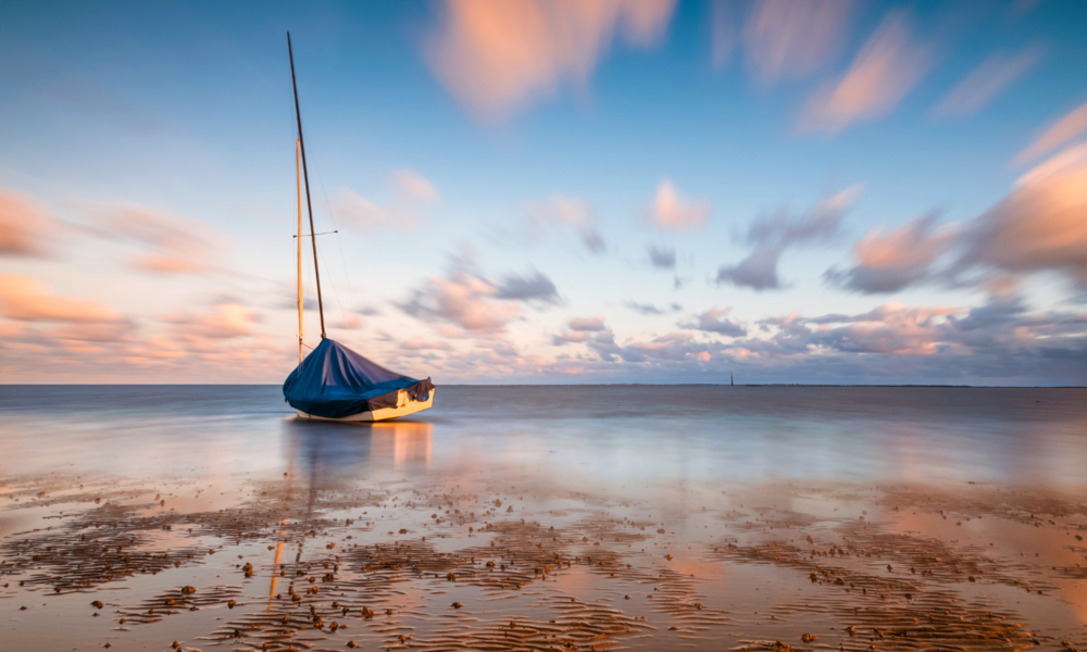 Donrum | © Adobe Stock/PhotoArt