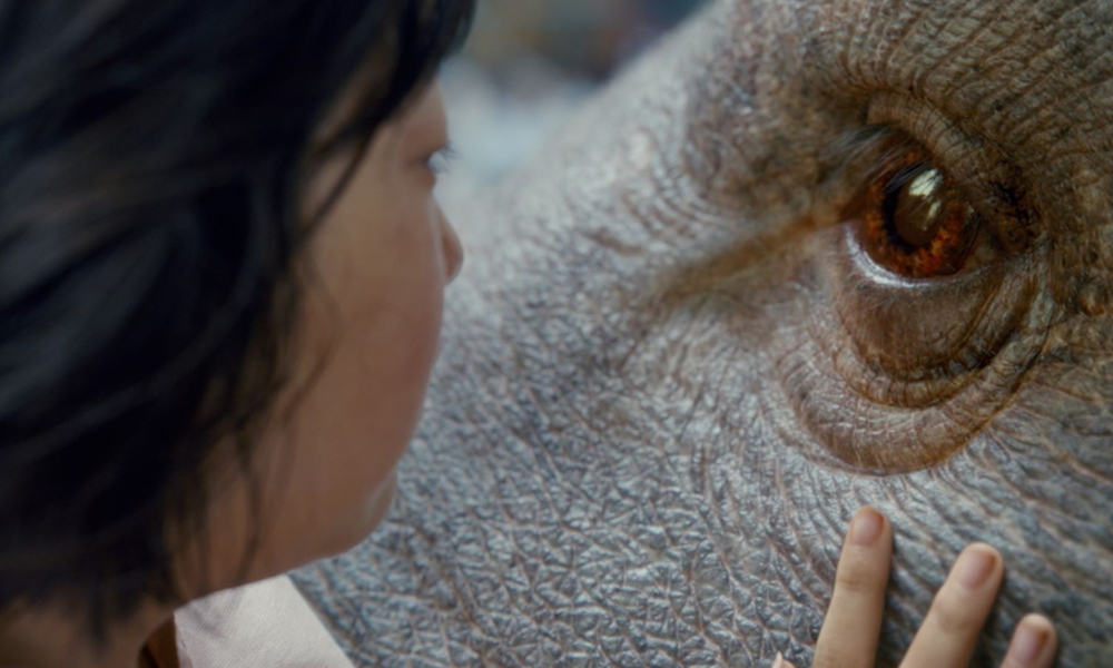 Ein Kind mit schwarzem Haar berührt sanft die faltige Haut eines riesigen Tieres und schaut in dessen großes, bernsteinfarbenes Auge. | © Photo courtesy NETFLIX
