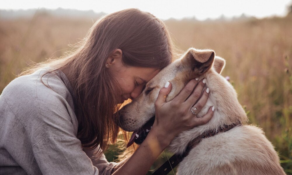 Junge Frau mit braunen Haaren und Leinenhemd berührt mit geschlossenen Augen liebevoll die Stirn eines beigefarbenen Hundes auf einer Wiese. | © Adobe Stock / gartmanart