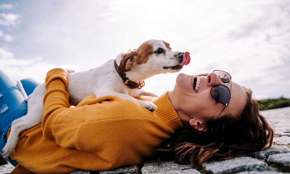 Eine lachende Frau mit Sonnenbrille und braunen Haaren liegt auf dem Rücken, während ein kleiner Hund spielerisch ihr Gesicht abschleckt. | © Adobe Stock / NatRomero