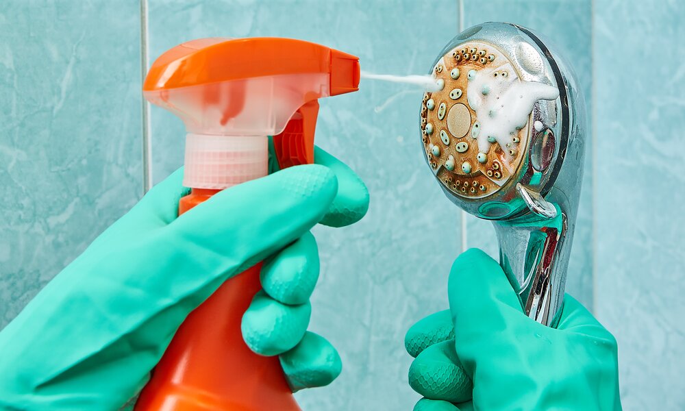 Nahaufnahme von einer verschmutzten Duschbrause, die mit Reinigungsspray und Gummihandschuhen gesäubert wird. | © Adobe Stock/ grigvovan