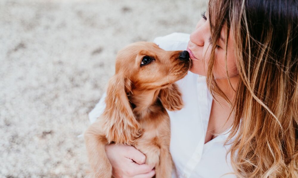 Junge Frau mit braunblonden Haaren küsst einen braunen Cocker Spaniel-Welpen liebevoll, während sie ihn auf dem Arm hält. | © Adobe Stock / Eva