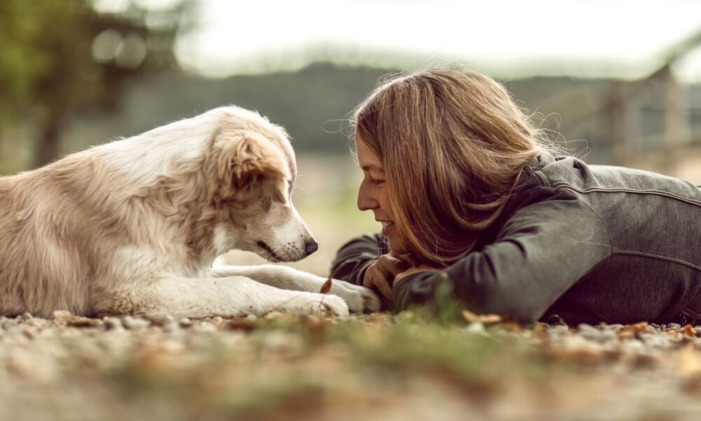 Eine junge Frau mit langen braunen Haaren liegt lächelnd auf einer Kiesfläche und schaut einem cremeweißen Hund liebevoll in die Augen. | © Adobe Stock / Annabell Gsödl
