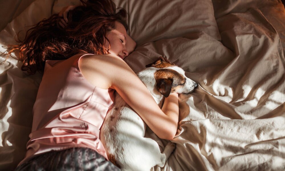 Junge Frau mit roten Locken schläft entspannt in einem rosa Top neben einem kleinen Hund auf hellbeiger Bettwäsche im Sonnenlicht. | © Adobe Stock / Tatyana Gladskih