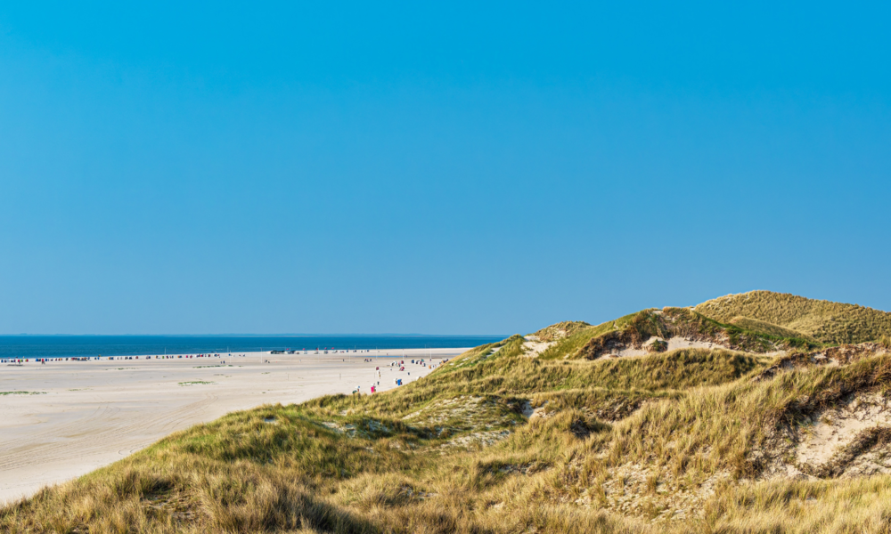 Insel Amrum | © Adobe Stock/Rico Ködder
