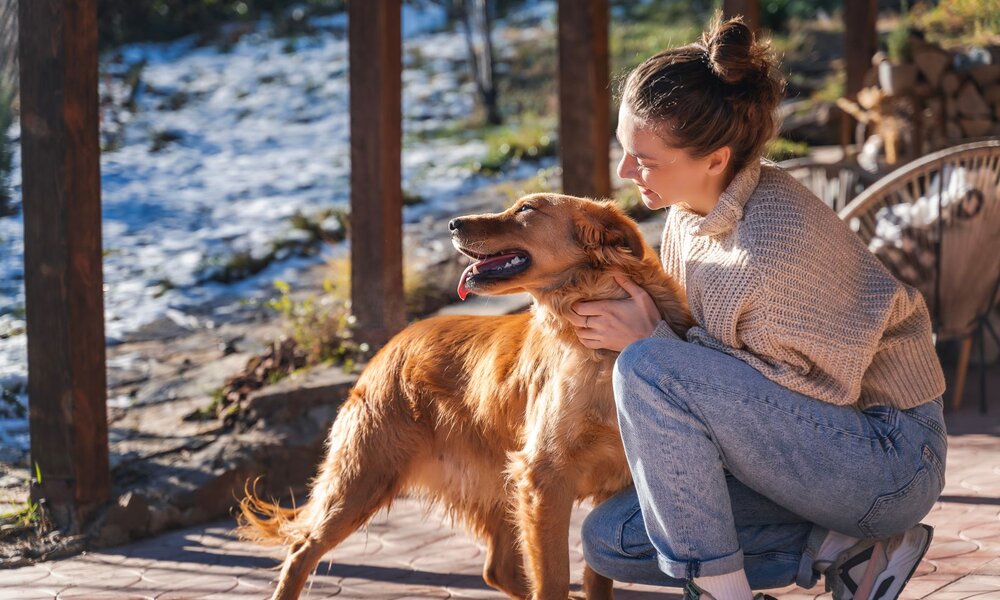 Junge Frau mit braunem Dutt in Strickpullover und Jeans streichelt lachend einen goldenen Retriever auf einer sonnigen Terrasse. | © Adobe Stock / olezzo