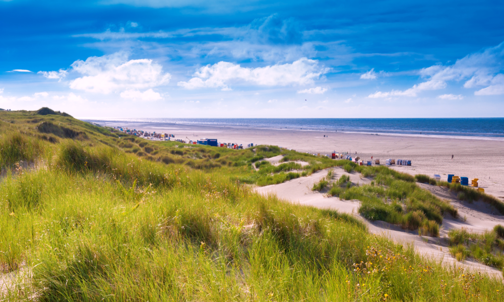 Insel Juist | © Adobe Stock/Fokussiert