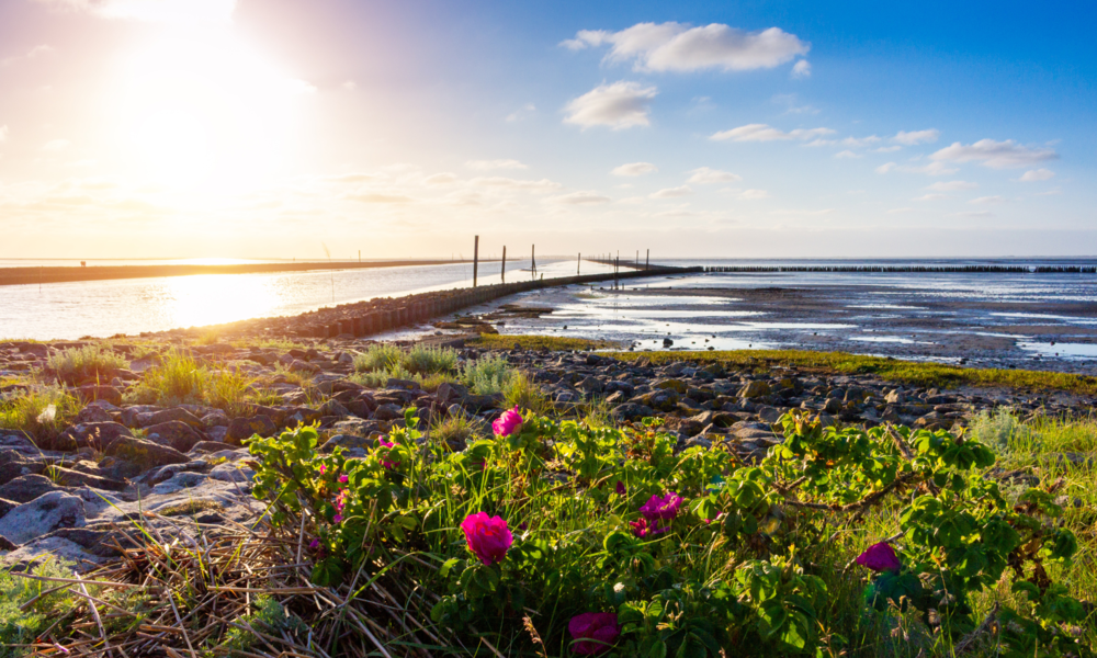 Bensersiel | © Adobe Stock/engel.ac