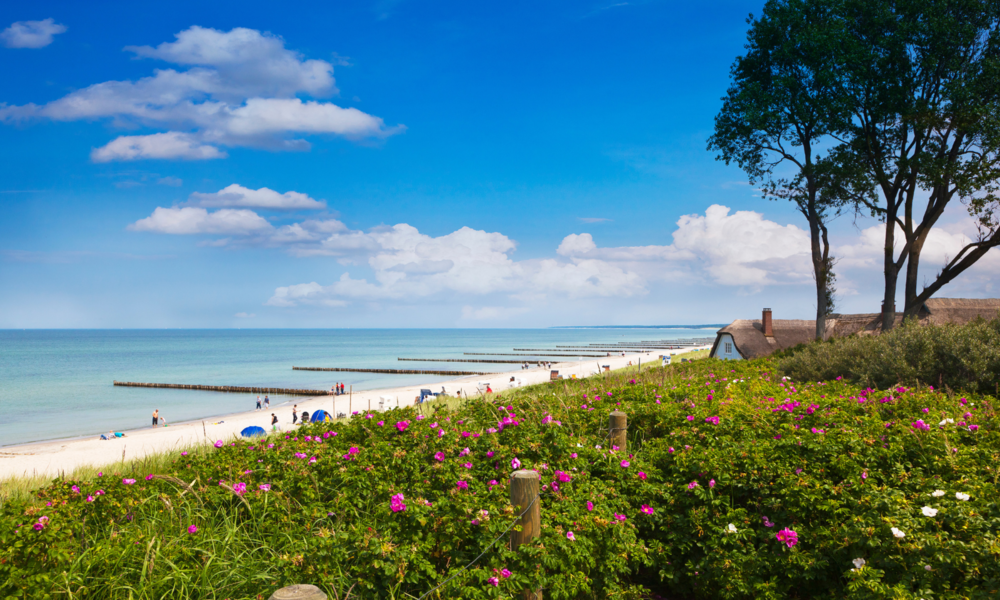 Ahrenshoop | © Adobe Stock/Martin Schlecht