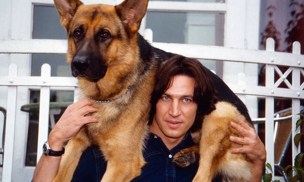 Schäferhund feiert TV-Comeback: Ex-„Tatort“-Star ermittelt mit „Kommissar Rex“ | © Imago
