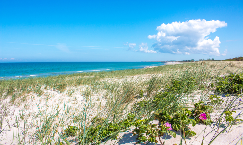 Dierhagener Strand | © Adobe Stock/pixs:sell