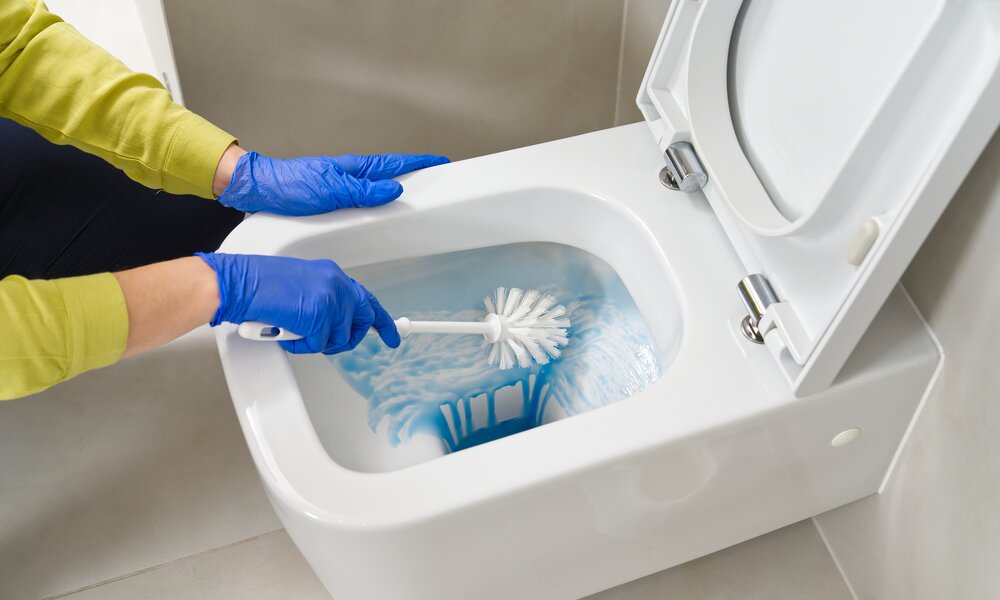 Eine Person mit blauen Gummihandschuhen reinigt eine geöffnete Toilette mit einer Bürste und blauem Reinigungsmittel. | © Adobe Stock/ Ilja