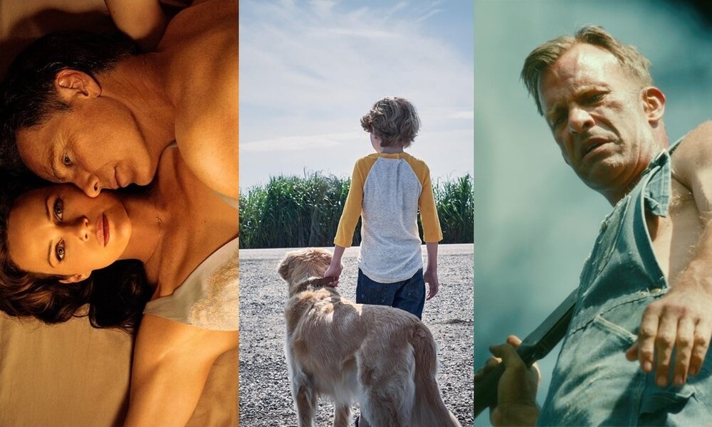 Stephen-King-Filme auf Netflix, zu sehen: Die Cover von "Das Spiel", "Im hohen Gras" und "1922".  | © Collage: Hörzu.de / Bilder: Netflix
