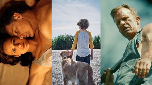 Böse, blutig, brillant: 13 Stephen-King-Filme und -Serien zum Streamen