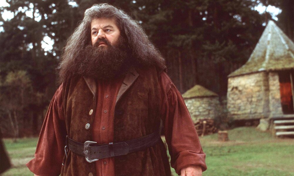 Nick Frost ist als neuer Hagrid im Gespräch. | © Warner Bros.