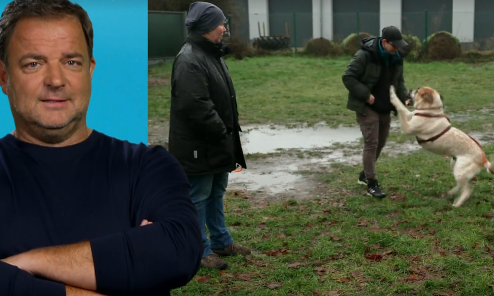 © Screenshot RTL 
