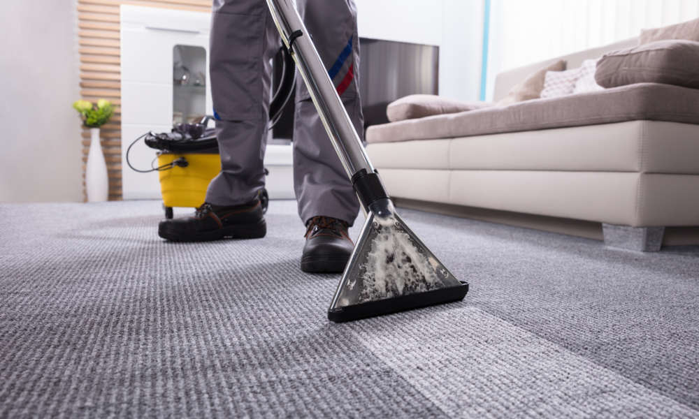 Eine Person in Arbeitskleidung reinigt mit einem Teppichsauger gründlich einen grauen Teppich in einem hellen Wohnzimmer. | © Adobe Stock/ Andrey Popov