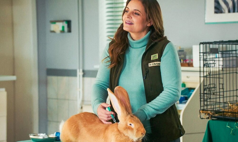 "Tierärztin Dr. Mertens": Matteo weg - gibt sie Mike trotzdem den Laufpass? | © ARD