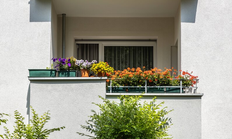 Balkon mit vielen blühenden Balkonpflanzen | © Getty Images / fhm
