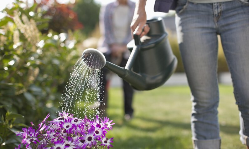 Richtig gießen im Garten: So vertrocknen deine Pflanzen garantiert nicht! | ©  Getty Images / Paul Bradbury