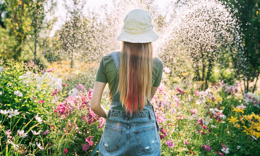 Diese 5 Pflanzen lieben die Sonne | ©  Getty Images / Tatiana Maksimova