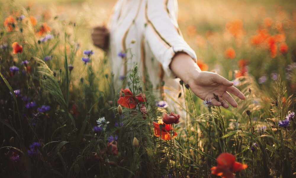 Spirituelle Sternzeichen | ©  Getty Images/Bogdan Kurylo