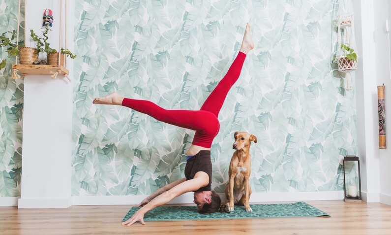 Frau macht Yoga neben Hund | © Getty Images / iantfoto