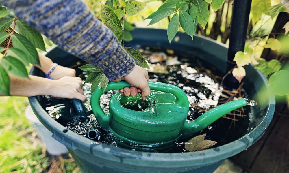 Darum solltest du unbedingt Regenwasser sammeln  | ©  Getty Images / Imgorthand