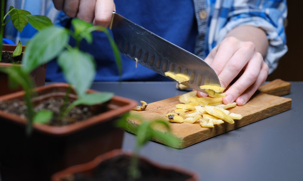 DIY-Dünger aus Bananenschalen | ©  Getty Images / invizbk