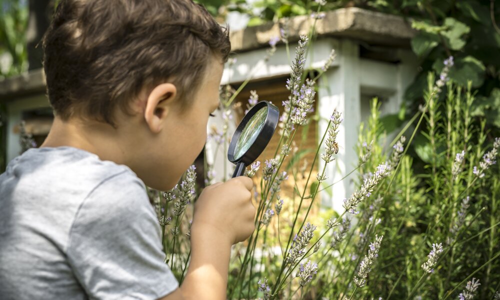 Naturschutz im eigenen Garten - Diese 5 Dinge musst du beachten | ©  Getty Images / martinwimmer