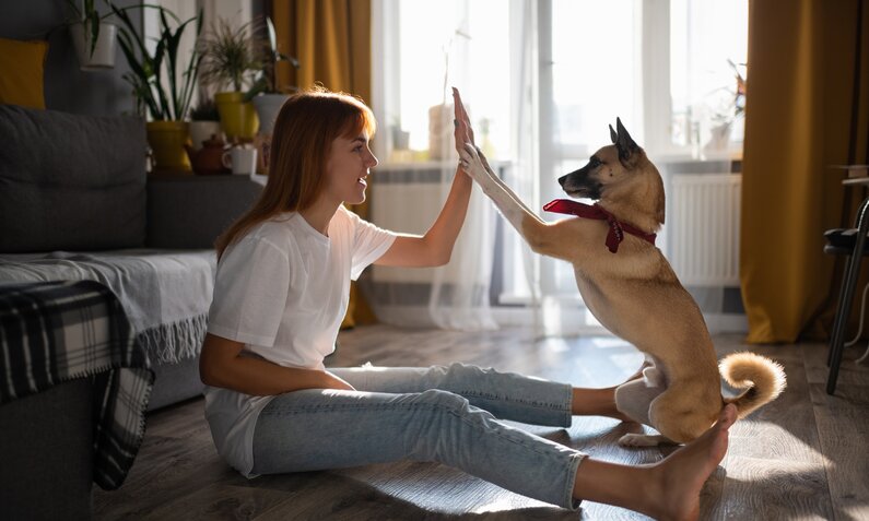 Frau bringt Hund Trick bei | © Getty Images / Cavan Images