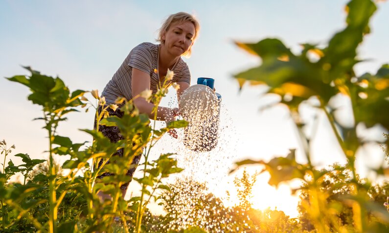 Frau bewässert mit einer Gießkanne ihren Garten | ©  Getty Images / rbkomar