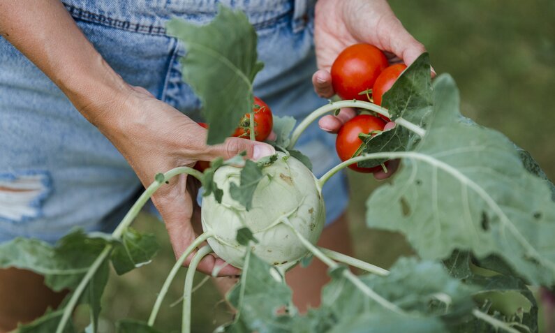 Frau hält Tomaten und Kohlrabi in der Hand | © Getty Images / Westend61