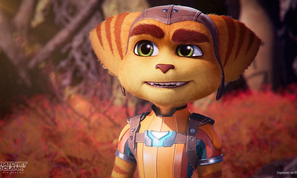 Ratchet, ein fuchsähnliches Wesen mit gelbem Fell, schaut etwas verunsichert aus der Wäsche. | © Insomniac Games