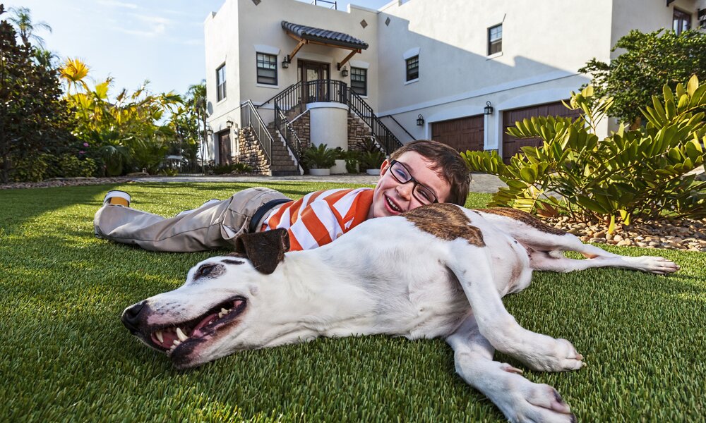 Kind und Hund liegen vor einem Haus auf Kunstrasen  | ©  Getty Images / TerryJ