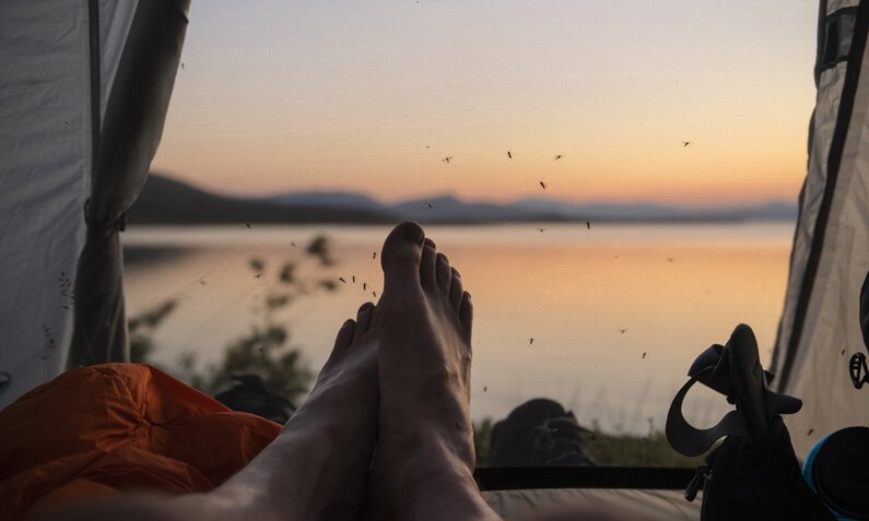 Füße ragen aus einem Zelt, Mücken schwirren um sie herum  | ©  Getty Images / Cavan Images