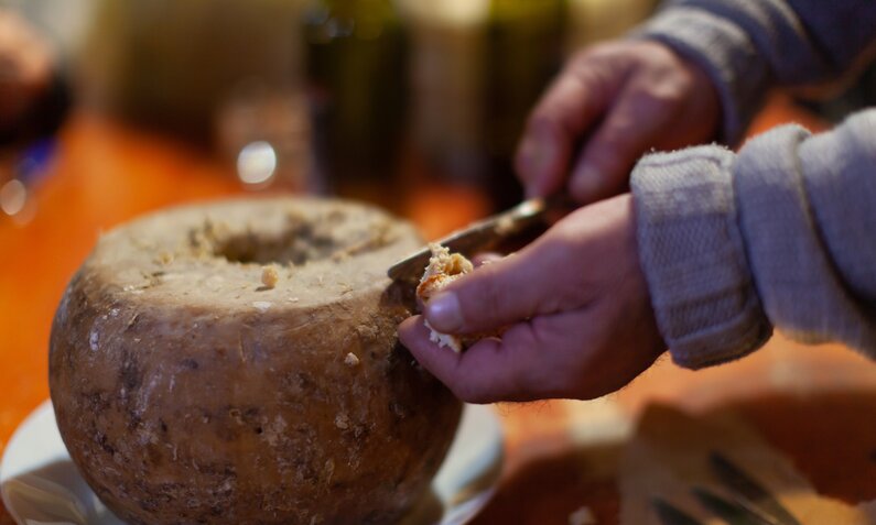 Mann schneidet Casu Marzu Käse auf | ©  Getty Images / Robert Pavsic