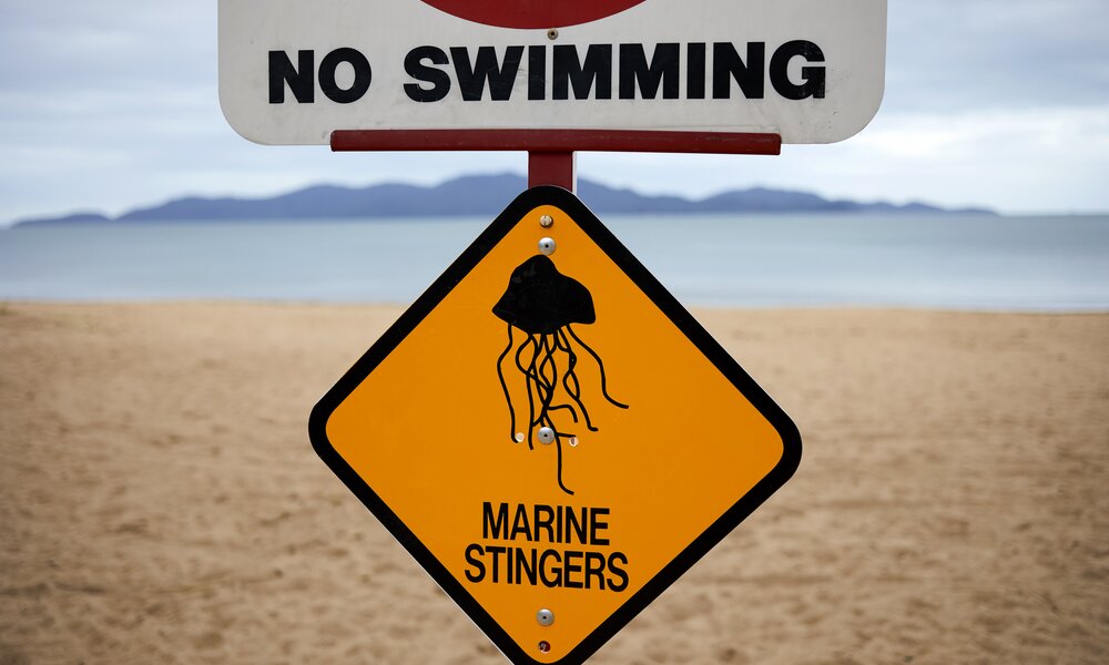 Warnschild vor Quallen am Strand | ©  Getty Images / Andrew Merry