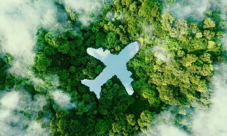 Flugzeug als Ausschnitt in einem Waldstück | ©  Getty Images / Petmal