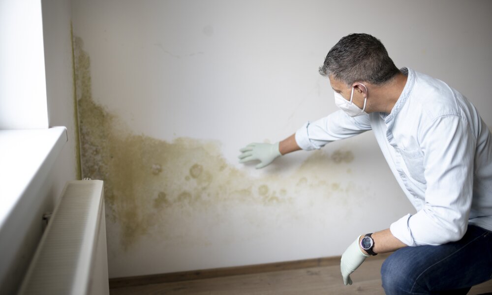 Mann mit Atemmaske und Handschuhen kontrolliert Schimmel an der Wand | ©  Getty Images / Epiximages
