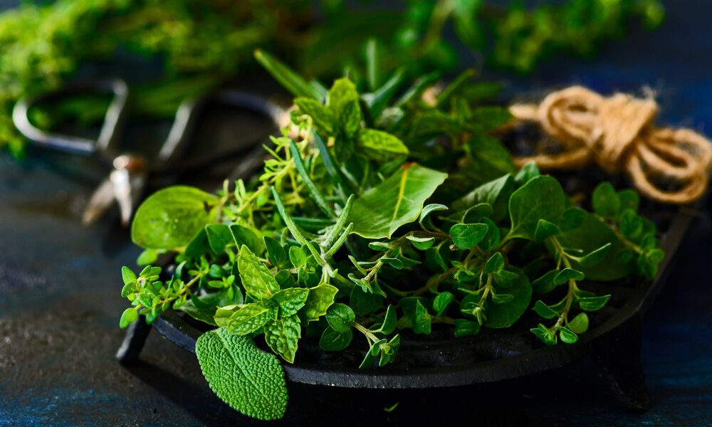 Ein Büschel mit verschiedenen Kräutern wie Minze, Rosmarin und Oregano | ©  Getty Images / Aniko Hobel