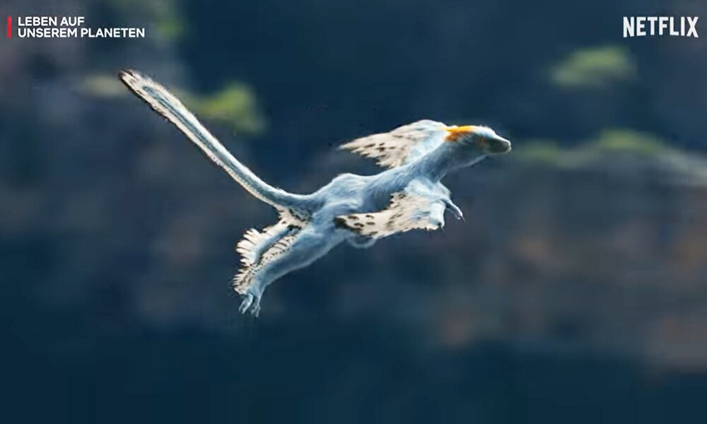 Kleiner blauer Anchiornis-Flugsaurier schwebt über einer Felsenlandschaft in einer Szene der Netflix-Doku "Leben auf unserem Planeten" | © Screenshot Trailer "Leben auf unserem Planeten"/Netflix