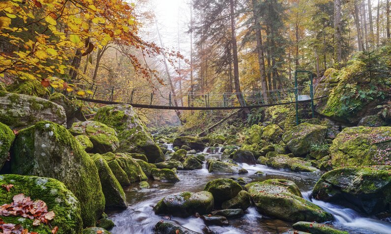 Im Bayerischen Wald mit einem Fluss und einer Hängebrücke | ©  Getty Images / Dirschl