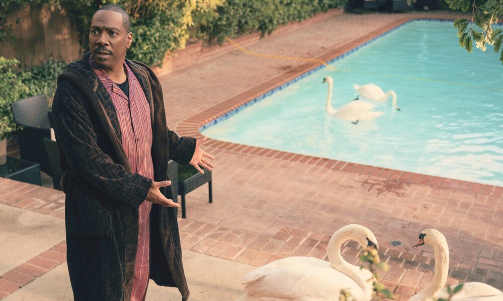 Eddie Murphy steht in Pyjama und Bademantel am Rand eines Pools in und an dem sich vier Schwäne tummeln | © Amazon Prime Video
